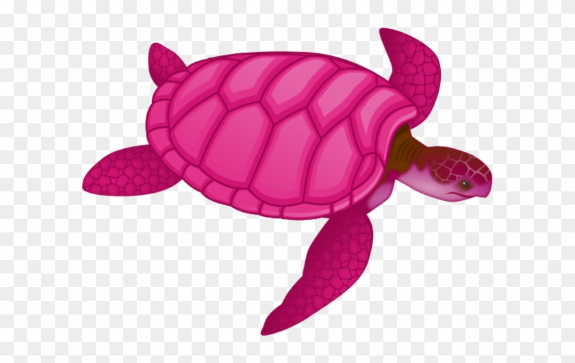 Preppy Sea Turtle Clip Art, Preppy Pink Sea Urchin - Sea Turtle Clip Art #942177