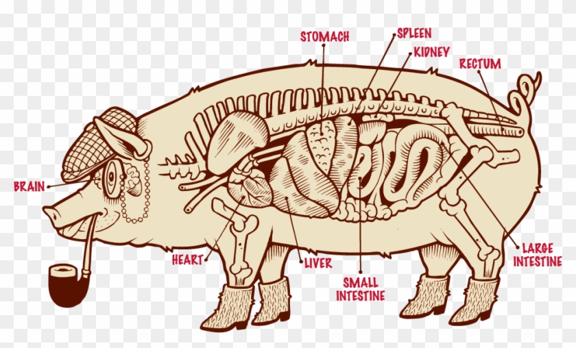 Pork 1 - Pork #942356