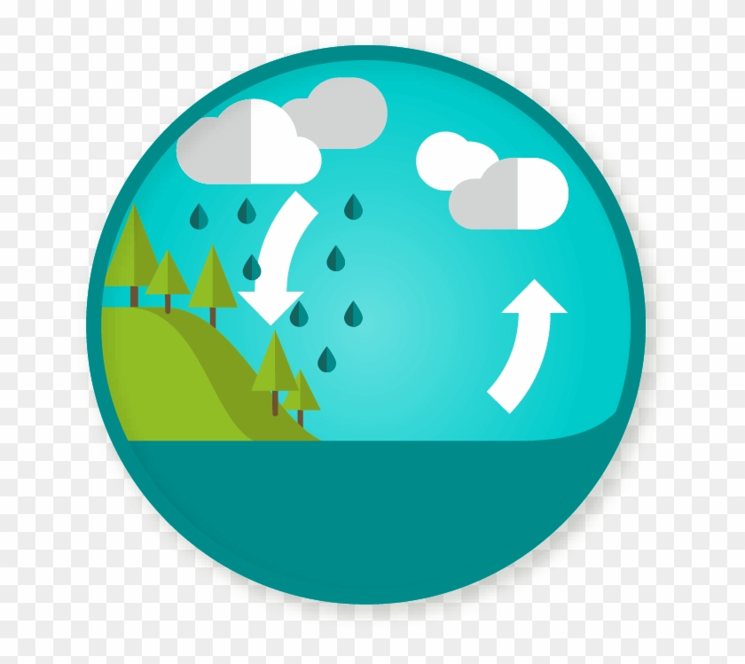 Wittywe - Transparent Water Cycle #942556