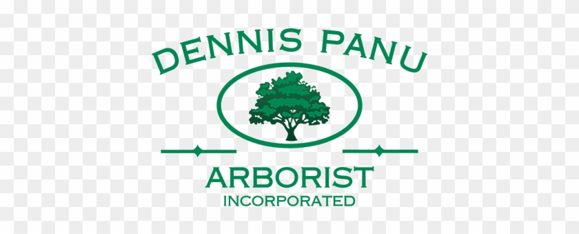 Dennis Panu Arborist - Bruno Vassari #943005