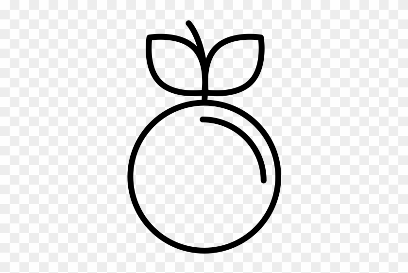 Initial Consultation - Desenhos De Laranjas Para Colorir #943244