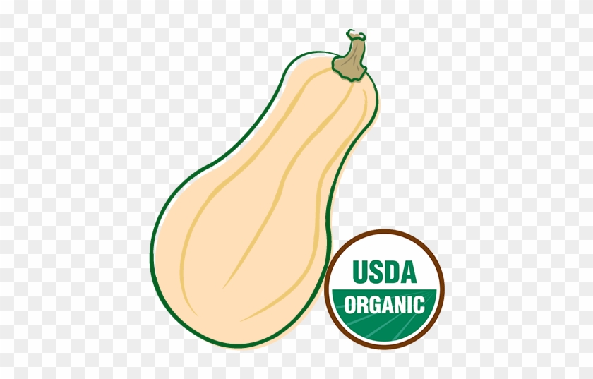 Organic Winter Squash - Usda Organic #943287