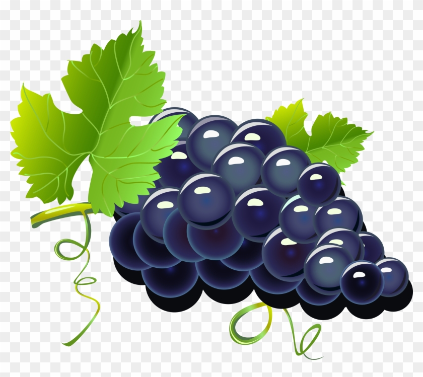 Red Wine Grape Cartoon - Grapes Png #943446
