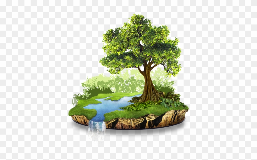 Save Tree Wallpaper - Environmental Protection And Conservation Of The Ecosystem #943475