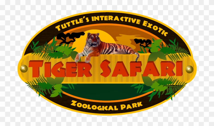 Google Image Result For Http - Tiger Safari #943540