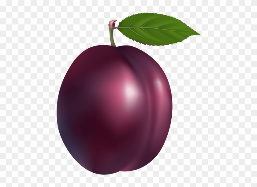 Free Png Plum Png Images Transparent - Plum Clipart Png #944998