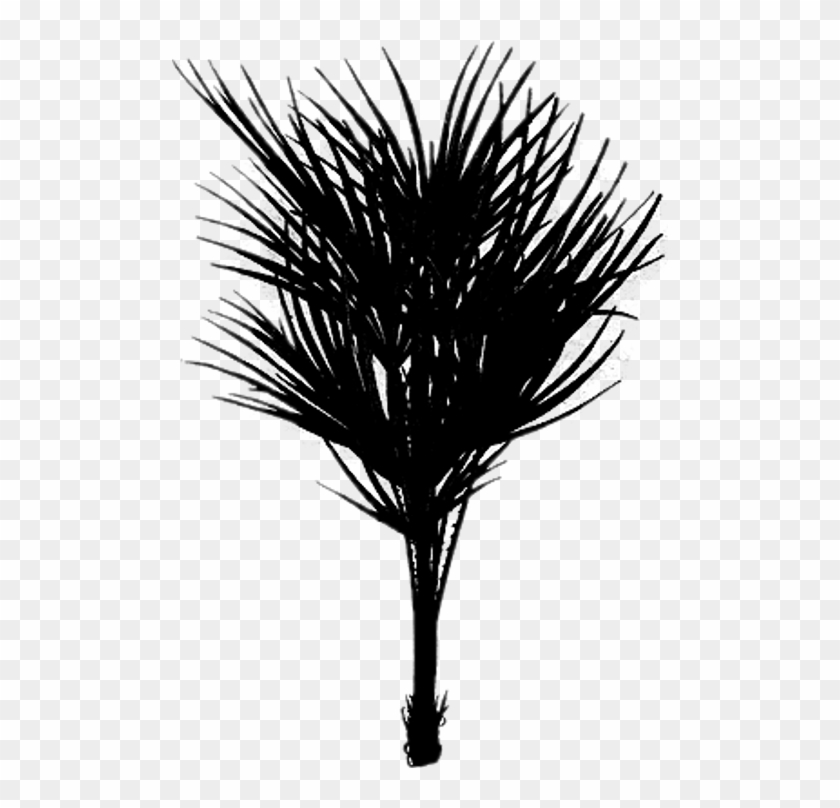 Black Palm Bush Tree 5 By Jassysart Stocks - Tree #945875