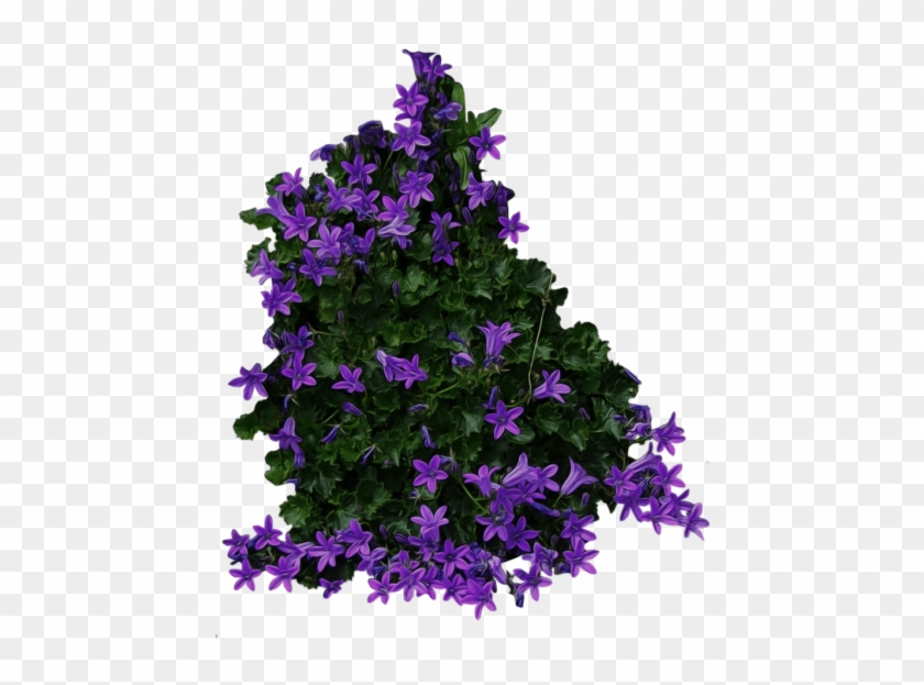 Free Png Bush Png Images Transparent - Flower Bush Transparent Background #945927