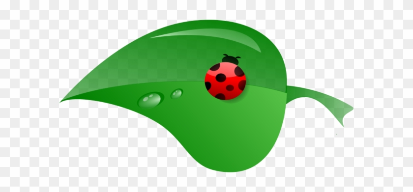 Leaf Clipart Ladybug - Ladybug On A Leaf Clipart #946746