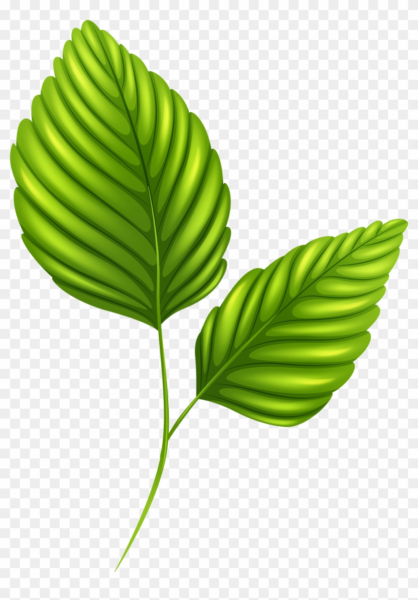 Two Leaves Clipart - Leaves Png #946748