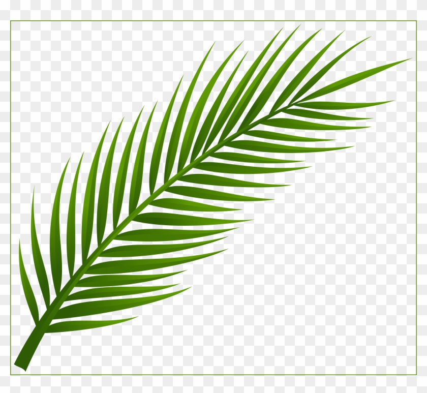 Unbelievable Palm Tree Leaf Png Clip Art Tatts For - Unbelievable Palm Tree Leaf Png Clip Art Tatts For #946774