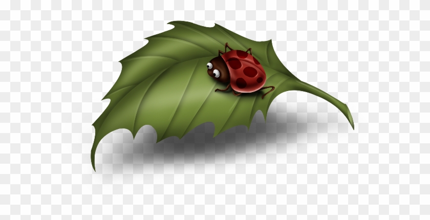 Leaf Clipart Cartoon - Ladybird On Leaf Clipart #946760