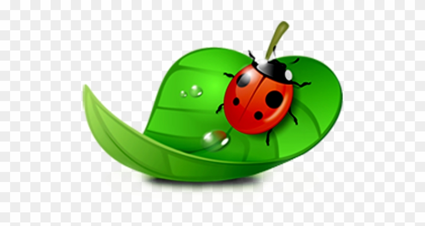 Coreldraw Computer Software Ladybird - Ladybugs In Leaf Clipart #946764