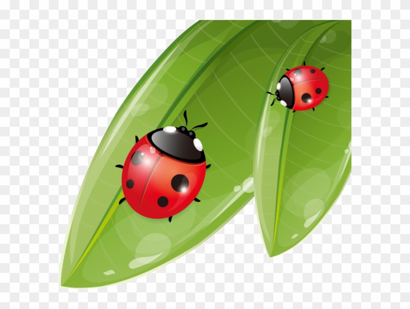 For Ladybug Mural - Vector Graphics #946785