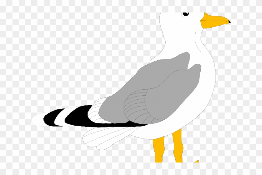Seagull Clipart Small - Seagull Cartoon #946804