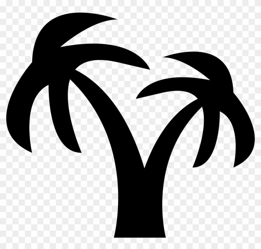 Coconut Tree Comments - Palmera #946806