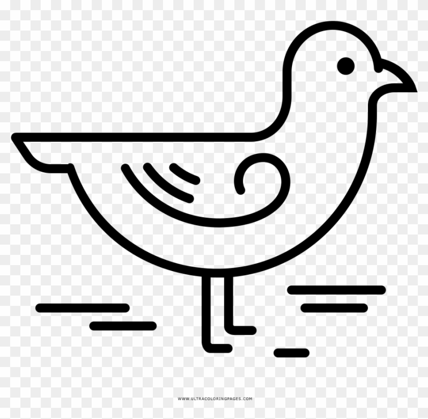 Seagull Coloring Page - Drawing #946846