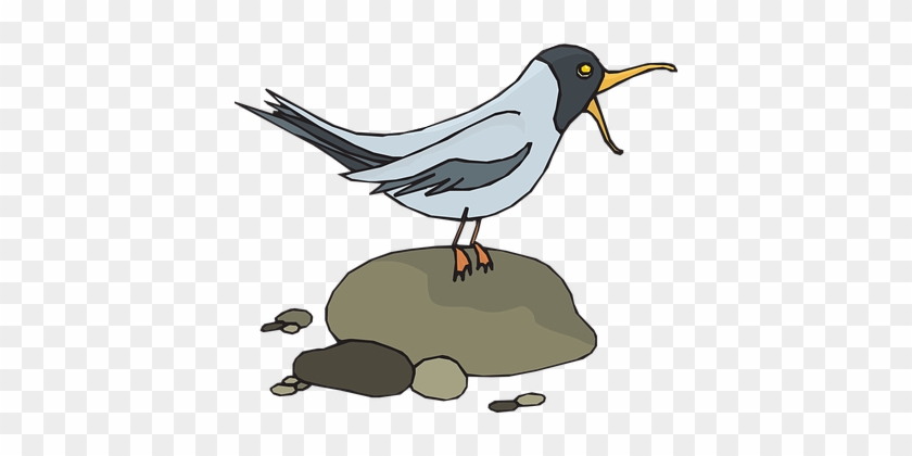 Gull, Seagull, Sea-gull, Bird, Wildlife - Screech Clipart #946849