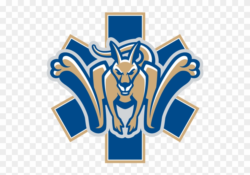 Ems Emergency Medical Service Personnel Logo Graphic - State University Of New York At Canton Athletics #947054