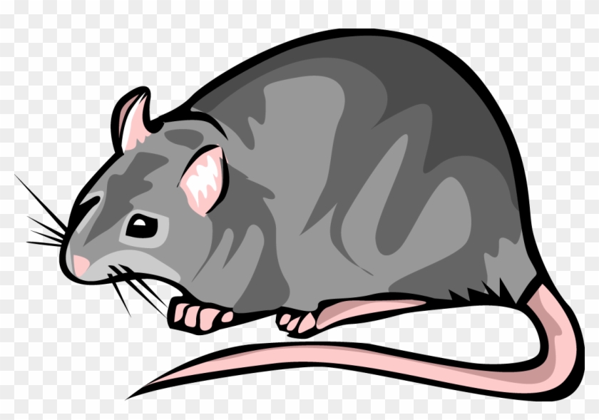 Rat Clip Art Free Clipart Images - Rat Clipart #947098