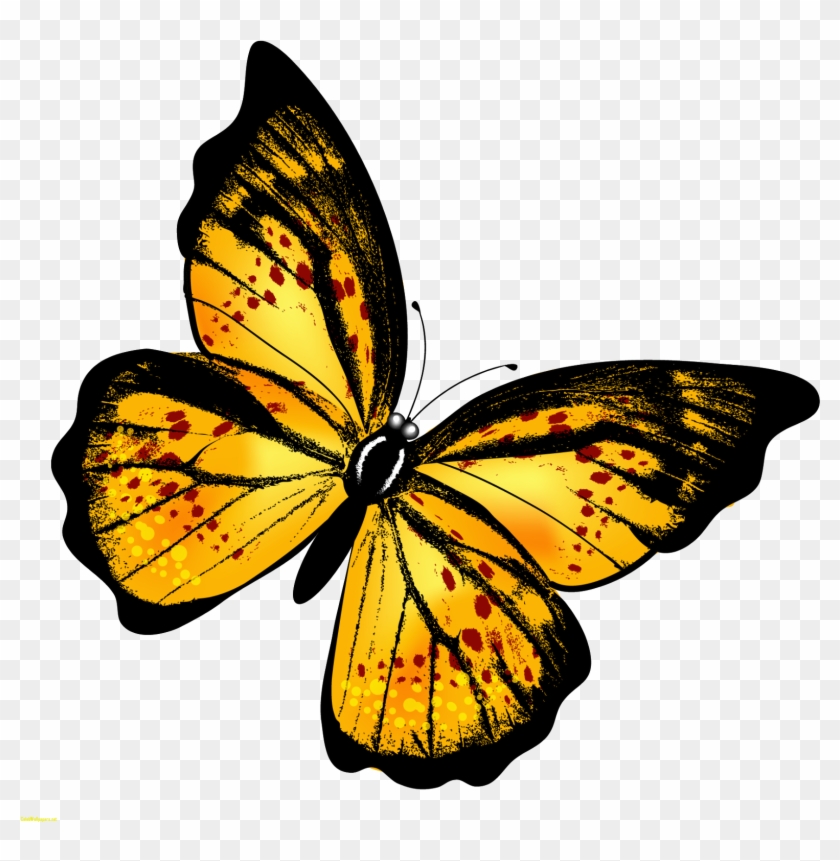 Monarch Butterfly Clipart Hindu God - Per Aspera Ad Astra [book] #947422
