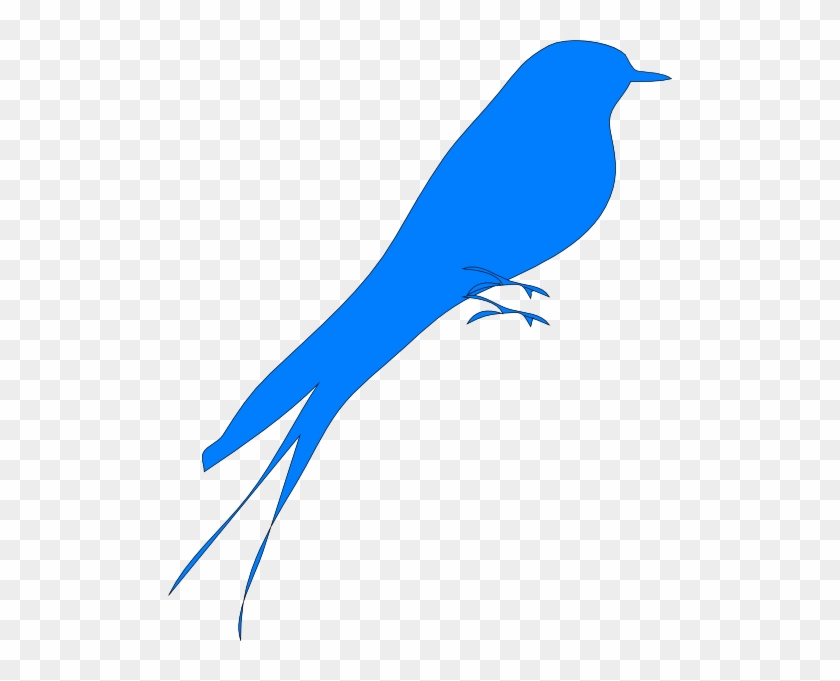 Bird - Free Transparent PNG Clipart Images Download