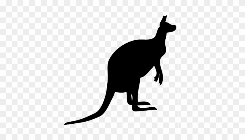 Abc's Flashforward - Kangaroo Silhouette #947823