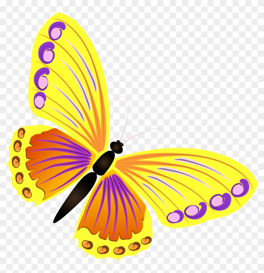 Butterfly Yellow - Yellow Butterfly - Borboleta Amarela Desenho Png #947904