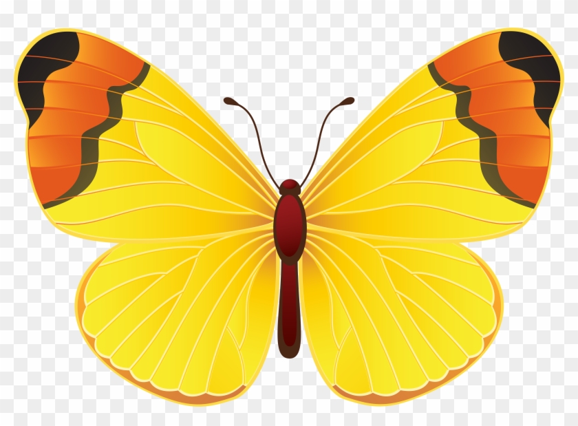 Yellow Butterfly - Large Copper #947912