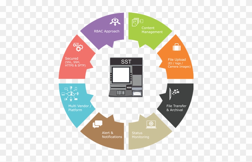 Ej Content Management - Holistic Approach To Education #948445