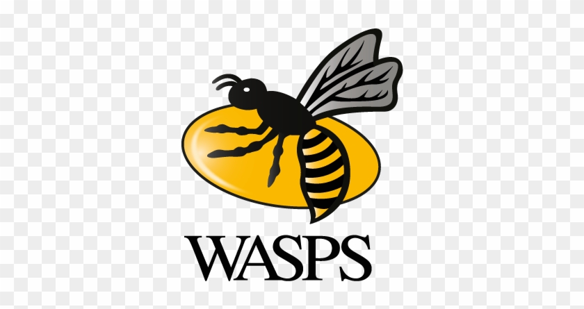 Away - London Wasps #948494