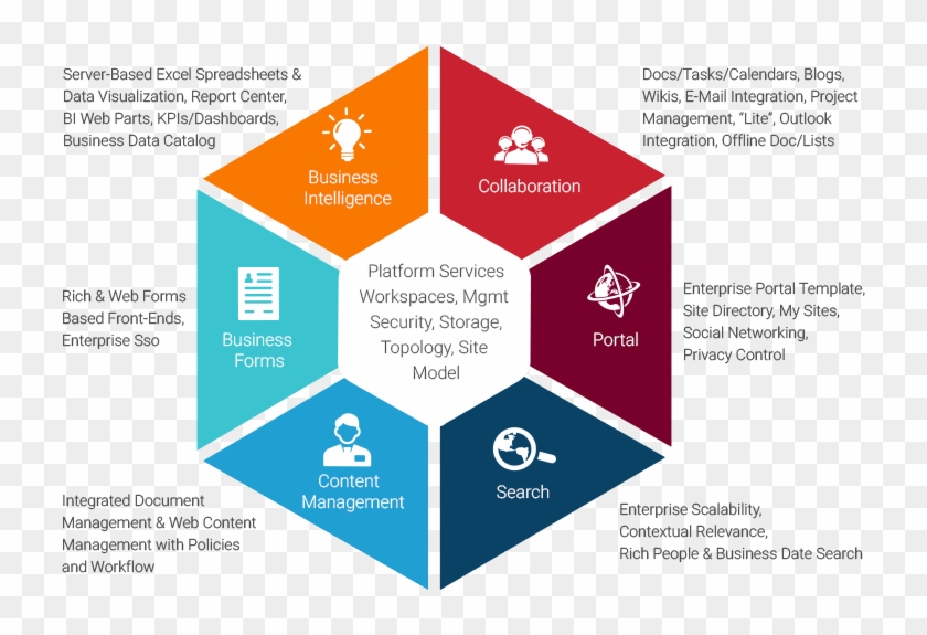 Enterprise Portal Development - Crypto N Kafe Ico #948551