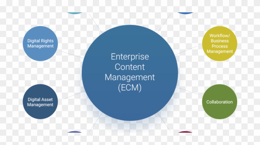 Developing An Enterprise Content Management Strategy - Circle #948554