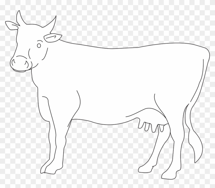 Animals Clipart Cow Black White Outline Clipart - Cow Drawing Side View #948611