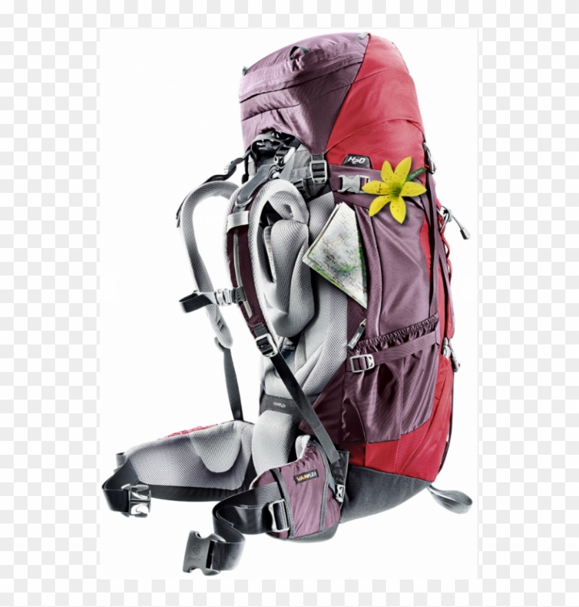 Rodyti Visas Nuotraukas - Deuter Aircontact 60 10 Sl Backpack Women's #948916