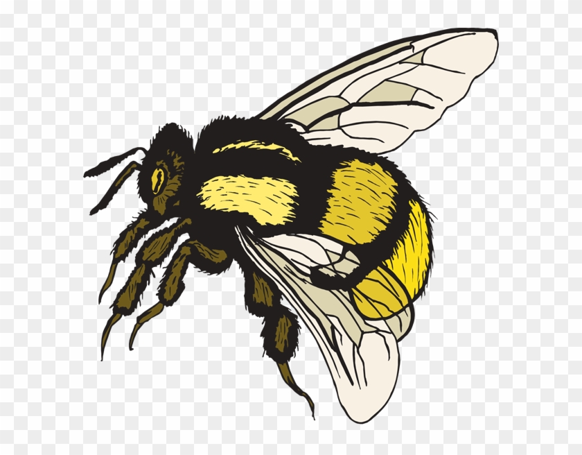 Cartoon Bumble Bee Clip Art Clipart - Free Clip Art Bumble Bee #949069