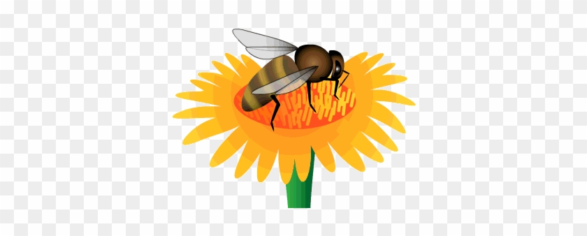 Animated Bees - Honey Bee Animated Gif #949084