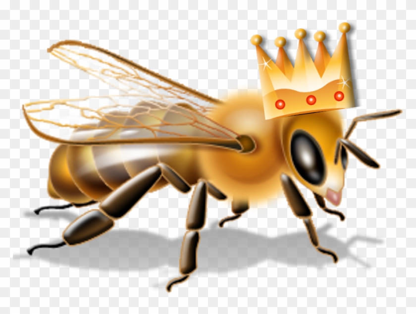 Do You Work For A “queen Bee” This Label, Coined In - Flying Bee #949139