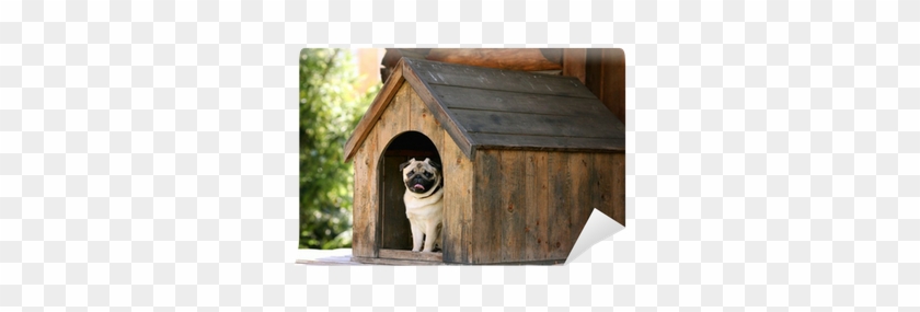 Best Wooden Dog Houses #949203