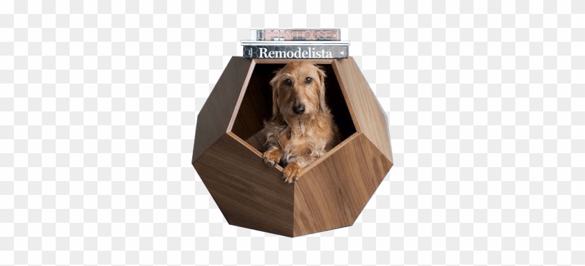 Unique Wooden Cat House - Modern Dog Furniture #949212