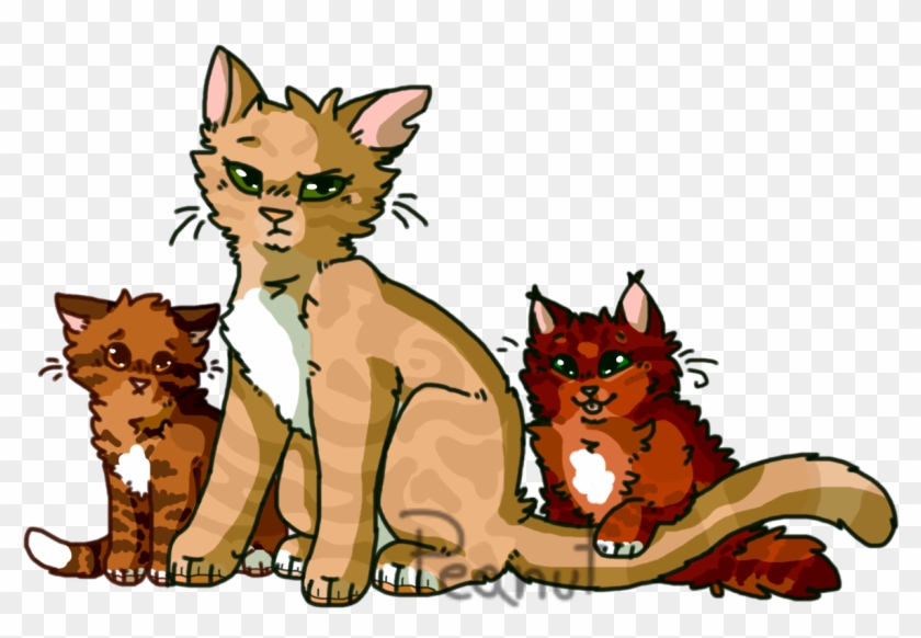 Warriors Warrior Cats Sandstorm Squirrelflight Leafpool - Warriors #949673