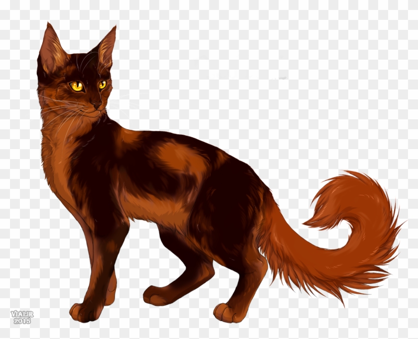 Warrior Cats Riverclan Family Tree Download - Cat With Red Tail #949687
