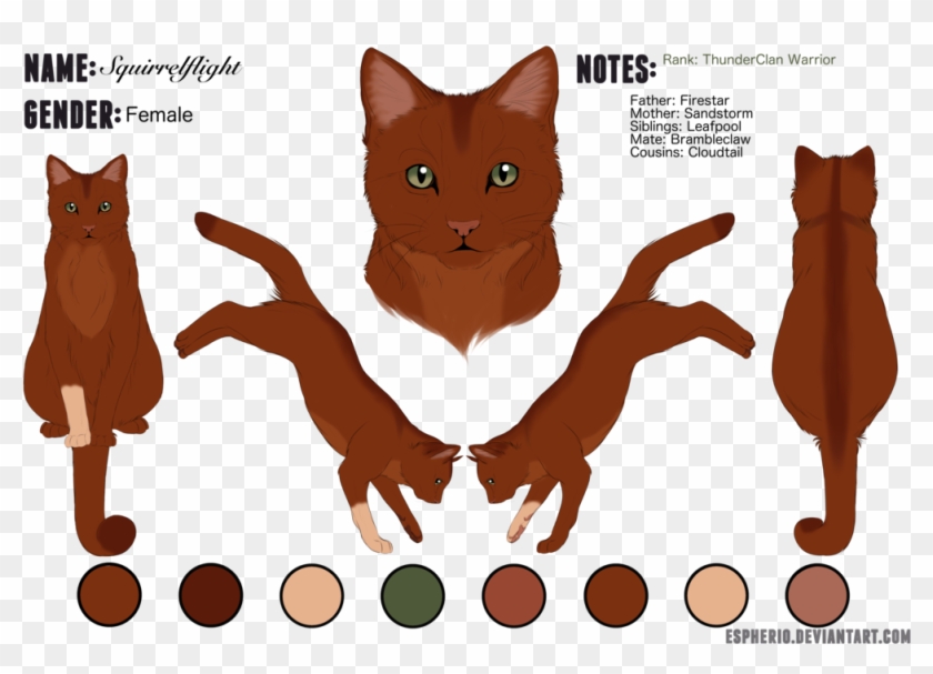 Squirrelflight Reference By Jeanzedlav - Squirrel Flight #949693