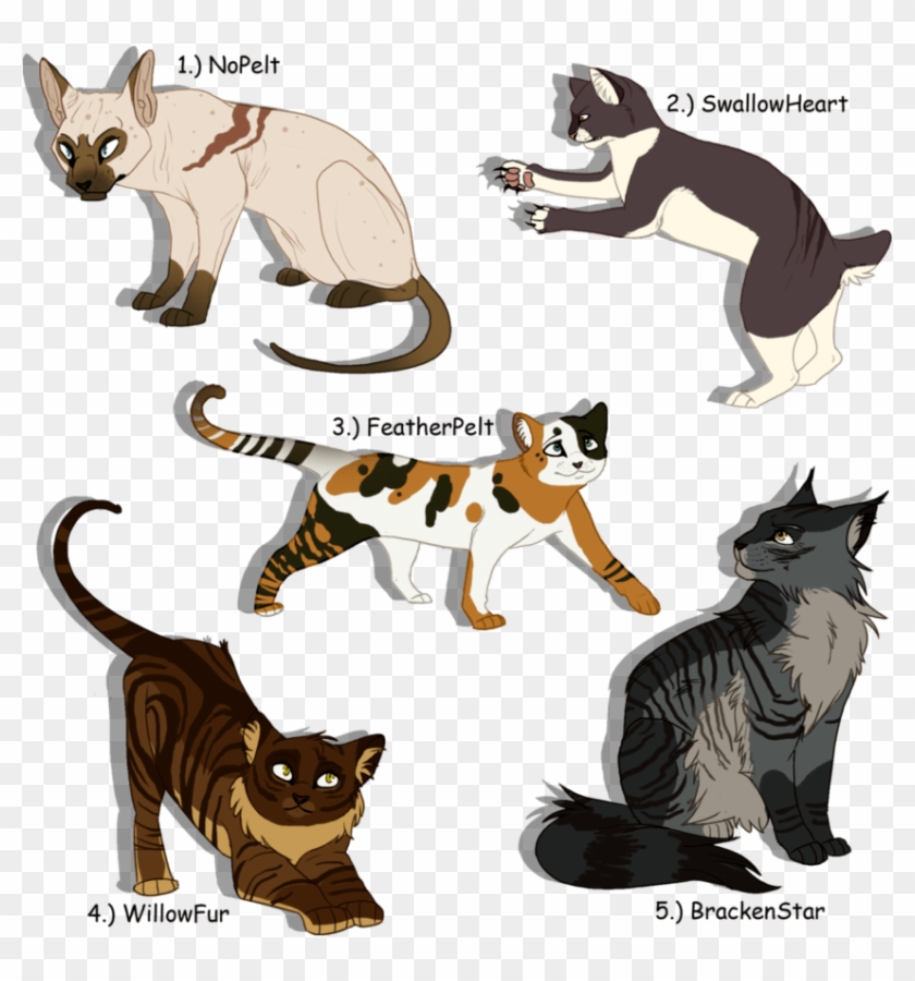 Warriors Cats Drawing #949784