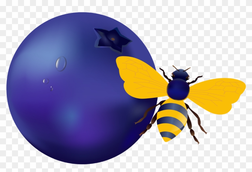 Blueberry Bee - Honeybee #949793
