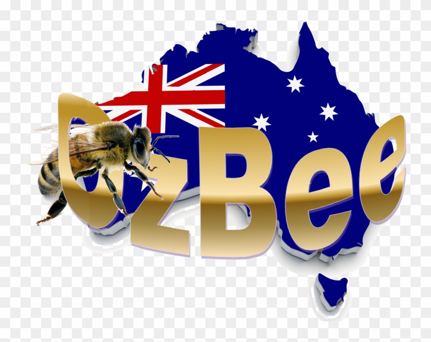 Oz Bee Honey - Study In Australia Png #949816