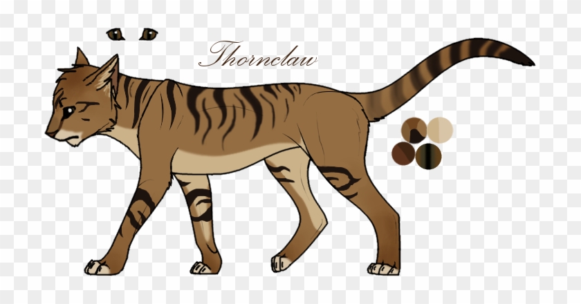 Warrior Cats Thunderclan Thornclaw #949832