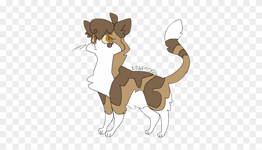 Tumblr Mus9qvnkln1skmox9o1 R1 500 By Summarytax26 Tumblr - Warrior Cats Nifty Senpai Leafpool #949914