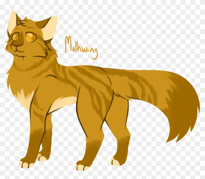 ekko Mod viljen billet 100 Warrior Cats Challenge] - Warrior Cats Fan Art Mothwing - Free  Transparent PNG Clipart Images Download