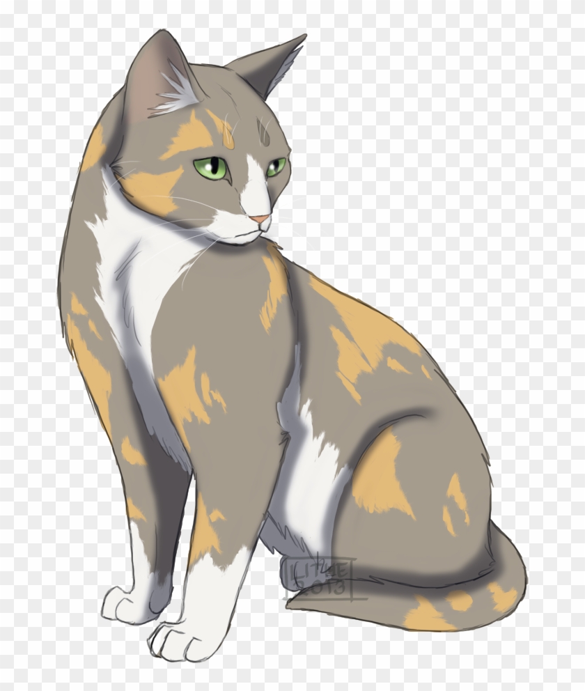 Lithestep 33 2 Graypaw Oc By Lithestep - Warrior Cats Lithestep #950268